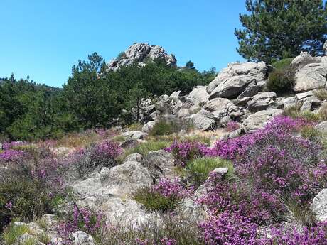 RANDONNEE DES TERRASSES DE L'ESPINOUSE