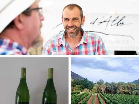 BALADE DES SAVEURS– IMMERSION AU CŒUR DU VIGNOBLE