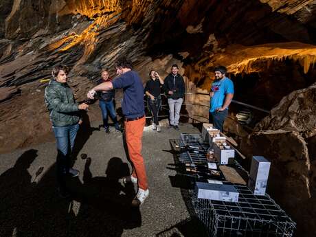 "VIGNOBLES EN SCENE" - DU VIN ET DES STALACTITES