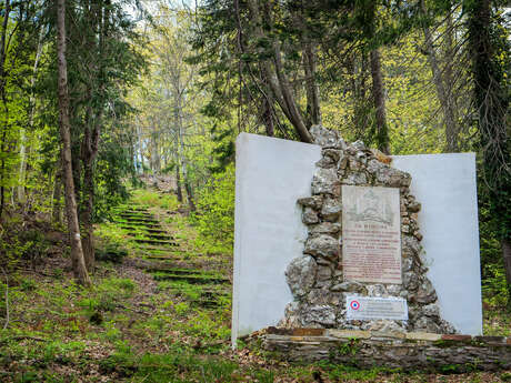 ITINÉRAIRE ACCESSIBLE - RANDONNÉE À LA FORÊT DES ÉCRIVAINS COMBATTANTS