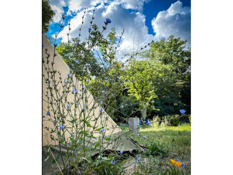 REWIND GARDEN — JARDIN SAUVAGE & GLAMPING D’ÉTÉ