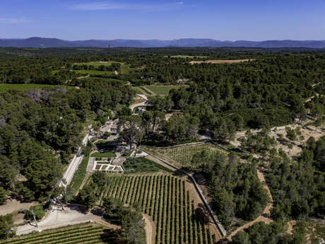 BALADE VIGNERONNE ET DÉGUSTATION GOURMANDE