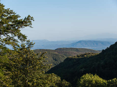 LE GRAND GÎTE  DE BELSOLEIL