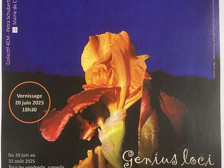 EXPO D'ART CONTEMPORAIN - GENIUS LOCI