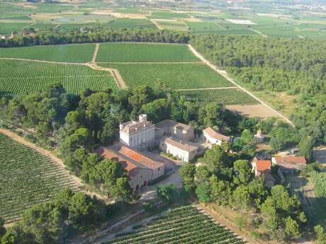 DOMAINE DE SALIÈS