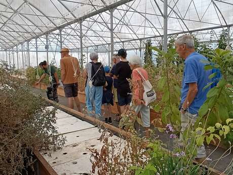 LES MERCREDIS AU PAYS - AGROSYMBIOSE - 24 JUIN 2026 - 10H