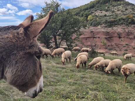 LES MERCREDIS AU PAYS EN GRAND ORB : LA VALLEE DES Z'ANES
