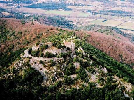 VISITE GUIDÉE DE ST-MICHEL DE MOURCAIROL