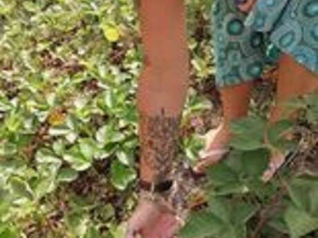 LES MERCREDIS AU PAYS - LES RÊVES D'ANNABELLE - MERCREDI 26 SEPTEMBRE 2026 - 15H