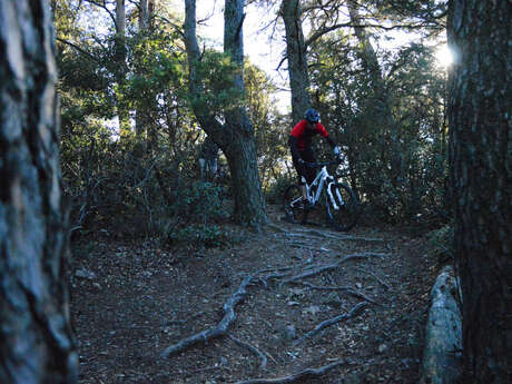 LIAISON ENDURO N°4 MONS / BACOULETTE - SITE VTT-FFC CAROUX EN HAUT LANGUEDOC