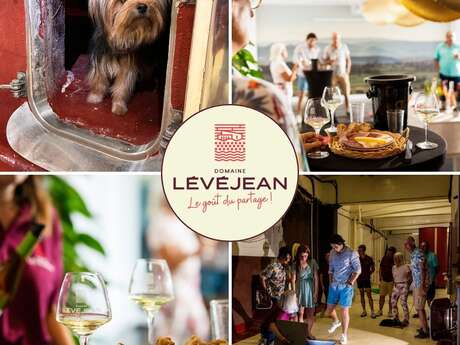 DOMAINE LEVEJEAN