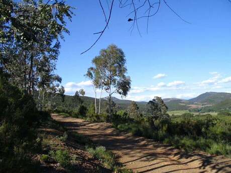 RANDONNÉE DU BOIS DES EUCALYPTUS