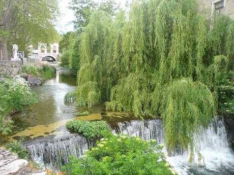 RANDONNEE DES PALOMBIERES DE SAINT PONS