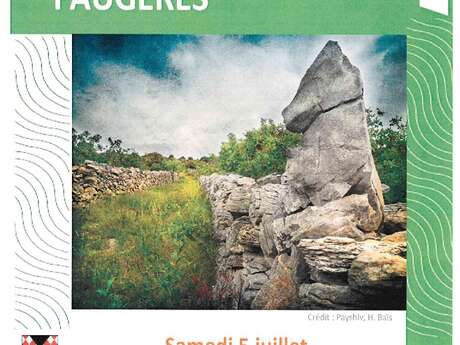 RENDEZ-VOUS - VISITE "PAYSAGES EN PARTAGE" FAUGÈRES