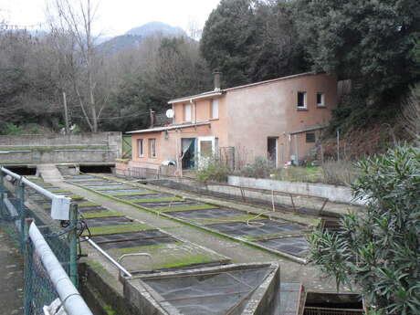 FERME AQUACOLE DU MOULIN DE NAPOLEON