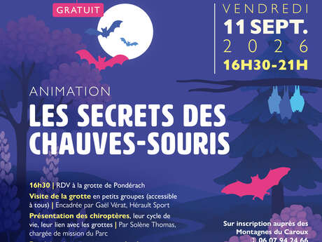 LES SECRETS DES CHAUVE-SOURIS