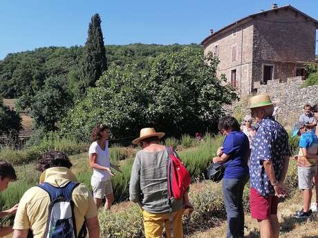 LES MERCREDIS AU PAYS - DOMAINE DE POUZES - 10 JUIN 2026 - 10 H