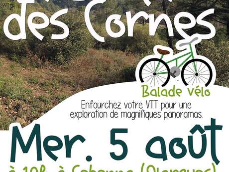 BALADE VTT : LE SENTIER DES CORNES