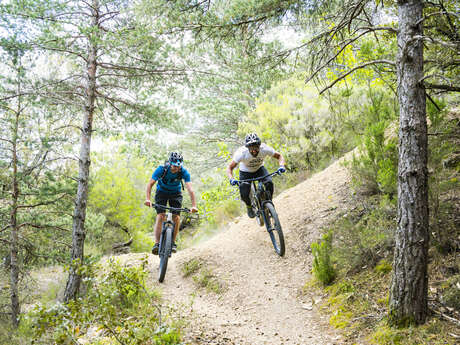 LIAISON ENDURO N°1 LA SECTION  - SITE VTT-FFC CAROUX EN HAUT LANGUEDOC