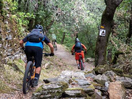 CIRCUIT À L'ASSAUT DE LA COQUILLADE - SITE VTT GRAND ORB EN HAUT LANGUEDOC