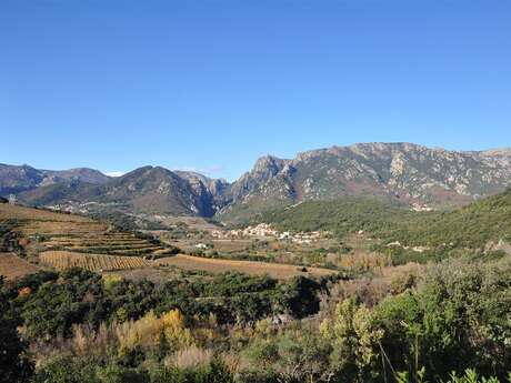 CIRCUIT N°5 AU PIED DU CAROUX– SITE VTT-FFC CAROUX EN HAUT-LANGUEDOC