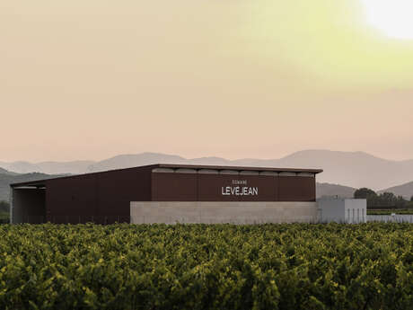 DOMAINE LEVEJEAN