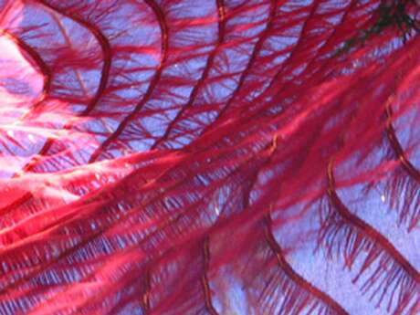 NOURRIR SON CORPS & SON ESPRIT