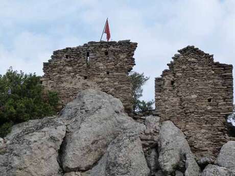 SAINT-JULIEN : OLARGUES LE VIEUX