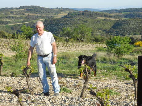 DOMAINE CAVAILLES