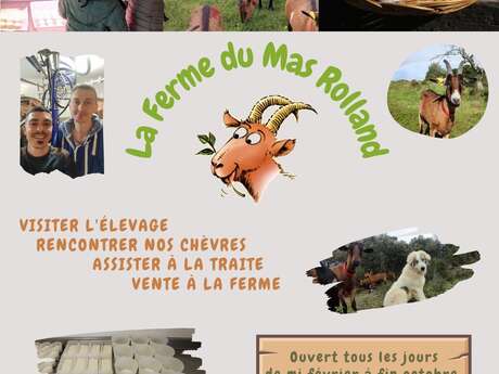 FERME DU MAS ROLLAND, VISITER L'ÉLEVAGE, RENCONTRER NOS CHÈVRES, ASSISTER À LA TRAITE, VENTE À LA FERME.