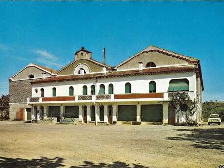 CAVE COOPERATIVE LE CLOCHER VERT