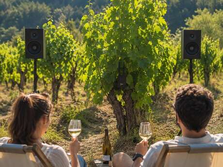 LA VIGNE CHANTE — IMMERSION SONORE AU CŒUR DU VIVANT