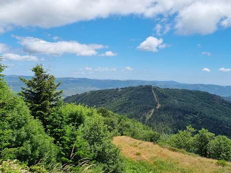 PASSA MERIDIA À VTT – BRANCHE NORD DE BÉDARIEUX À LA SALVETAT