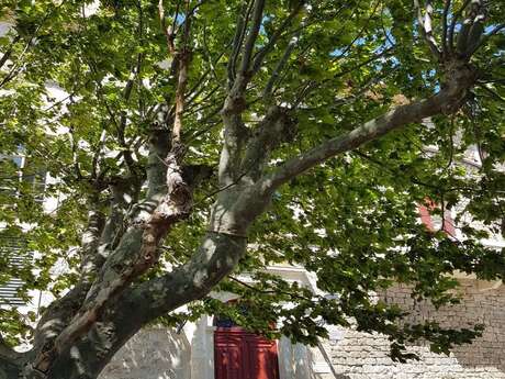 APPARTEMENT À MURVIEL-LES-BÈZIERS