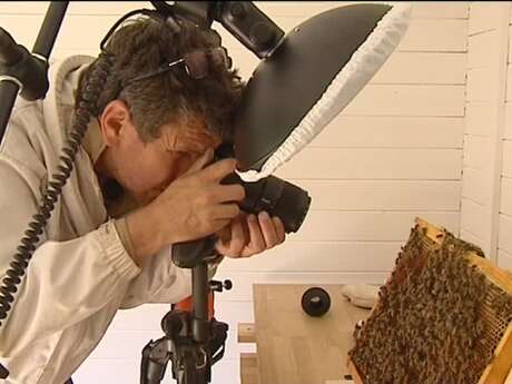 EXPOSITION — ÉRIC TOURNERET, LE PHOTOGRAPHE DES ABEILLES