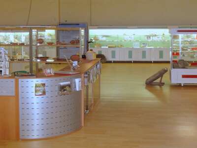 MUSEE DE CRUZY