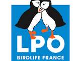 LPO DÉCOUVERTE DES HIRONDELLES