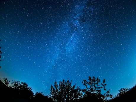 LA NUIT DES ÉTOILES