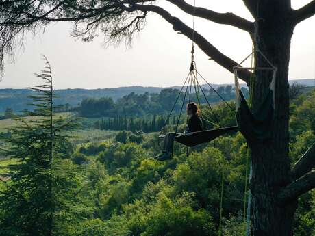 L' ARBRE NOMADE