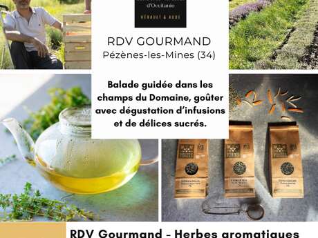 RDV GOURMAND AU DOMAINE DE POUZES - HERBES AROMATIQUES