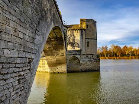 EXCURSION À AVIGNON