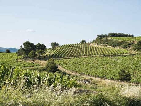 OENORANDO & BRASERO : UNE JOURNÉE 100 % TERROIR...ET DÉCOUVERTES