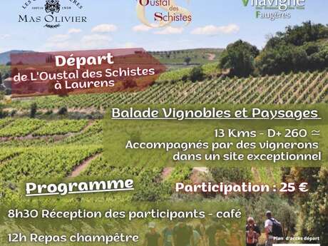 LA GRANDE BALADE VIGNERONNE DES CRUS FAUGÈRES - MAS OLIVIER