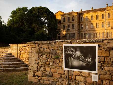 EXPOSITION "LES MÉTAMORPHOSES" DE SYLVÈRE PETIT