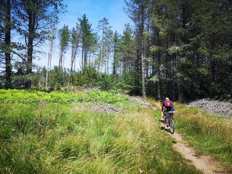 CIRCUIT N°9 LES CONTREFORTS DE VÉSOLES – SITE VTT-FFC CAROUX EN HAUT-LANGUEDOC