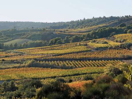 RANDONNÉE LE PUECH DE LA VIGNE NÈGRE