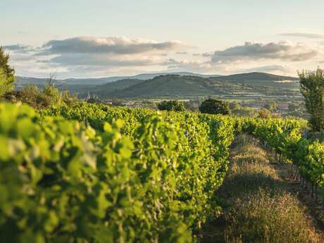 DOMAINE DE L'ARJOLLE