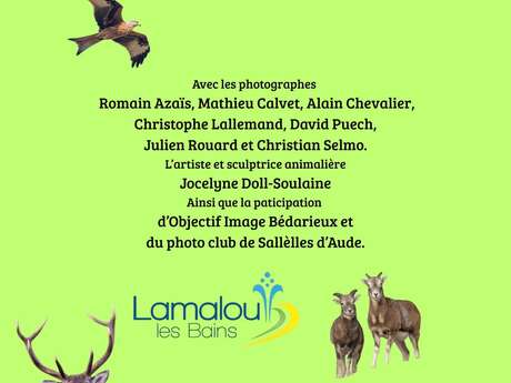 EXPO PHOTO NATURE