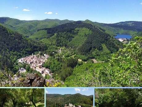 VISITES COMMENTEE D'AVENE