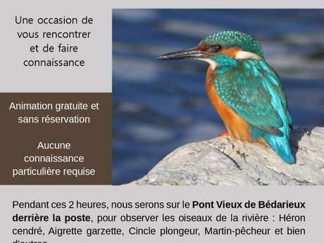 LPO : TOUT LE MONDE SUR LE PONT !